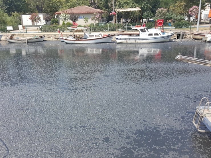kurbagali-dere-kadikoy.jpg