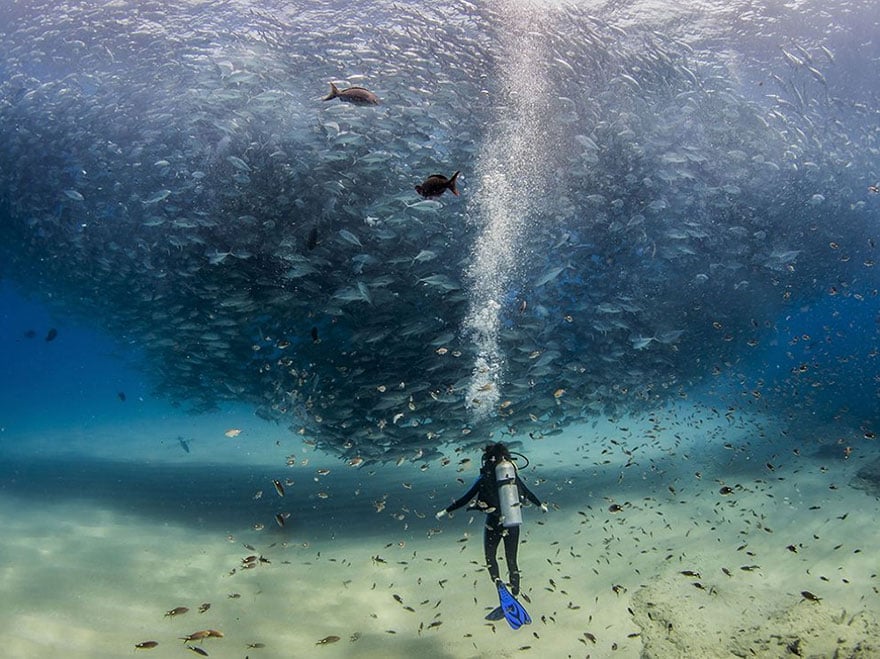 national-geographic-photo-of-the-day-internet-favorites-2015-24__880.jpg