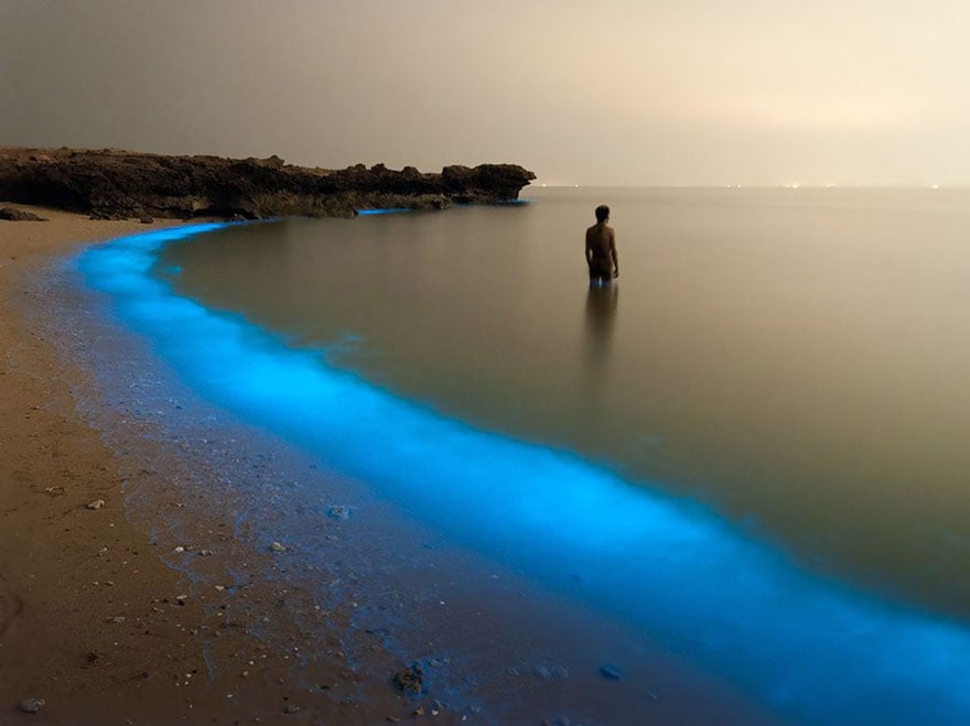 national-geographic-photo-of-the-day-internet-favorites-2015-26__880.jpg