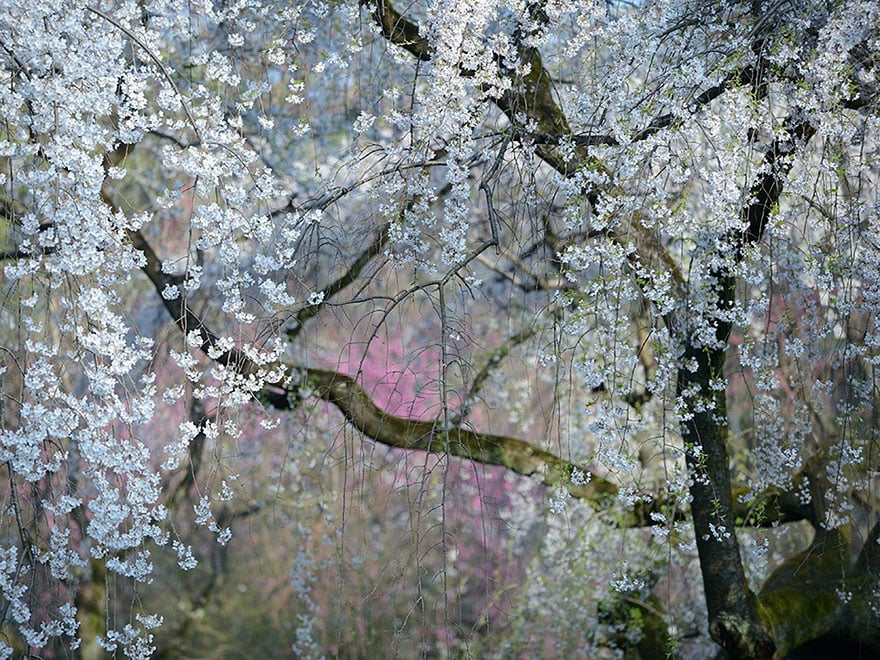 national-geographic-photo-of-the-day-internet-favorites-2015-30__880.jpg