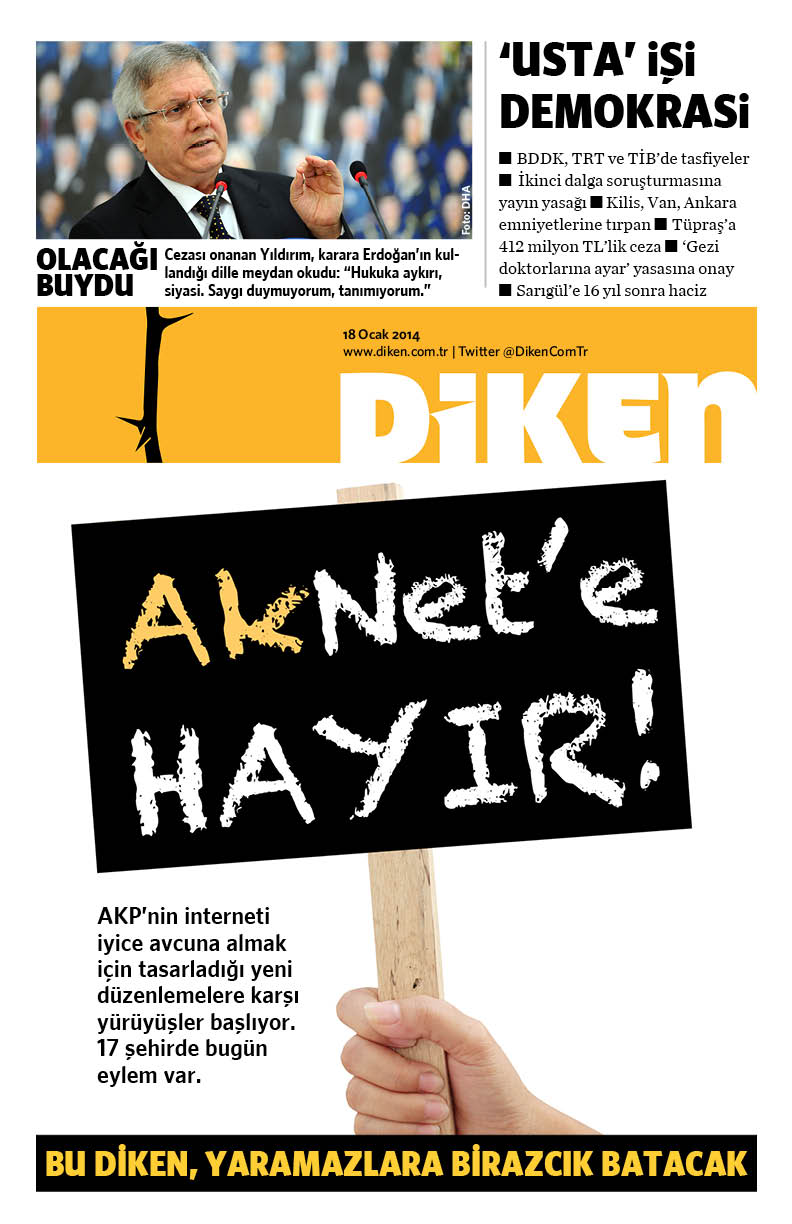 20140118 diken