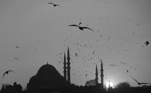 20140122 istanbul bw