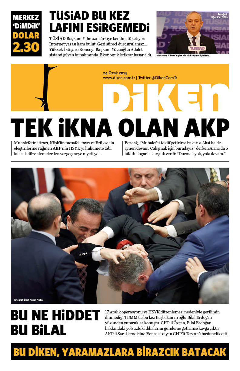 20140124 Diken