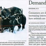 Censored pigs 2