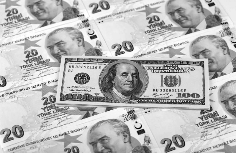 20140210 turda ozmen dolar - SB