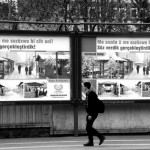 20140223 AKP kurtce afiss – SB