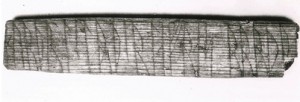 Jotunvillur-mindre.-Sigurd-Lavrans.-Foto-Aslak-Liestol-KHM-UiO_None.full