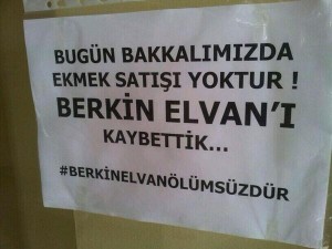 20140311 berkin bakkal