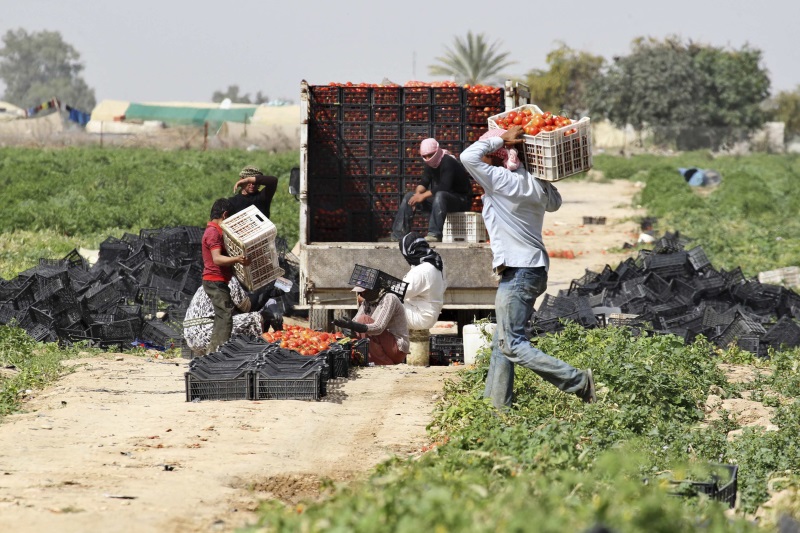 (Fotoğraf: Reuters)