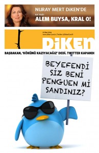 20140321 Diken