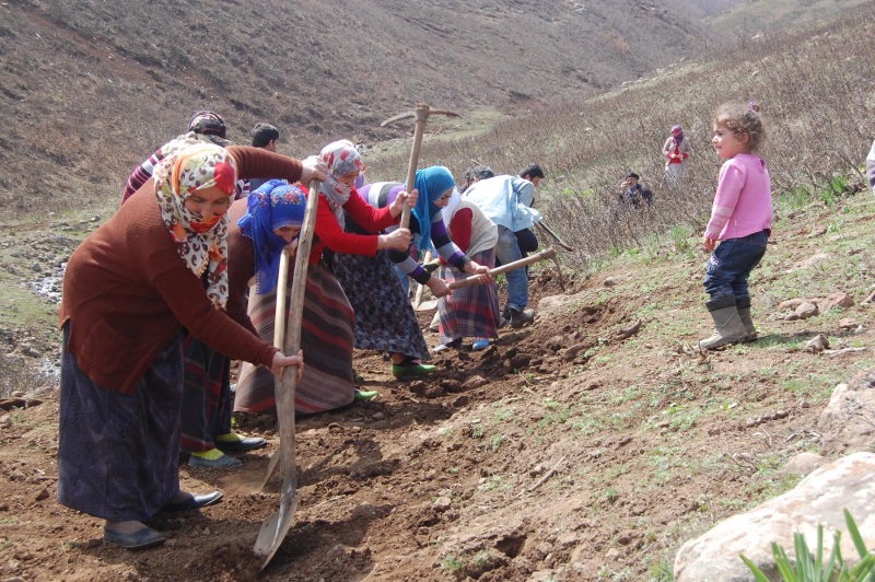 20140407 koy yolu (2)