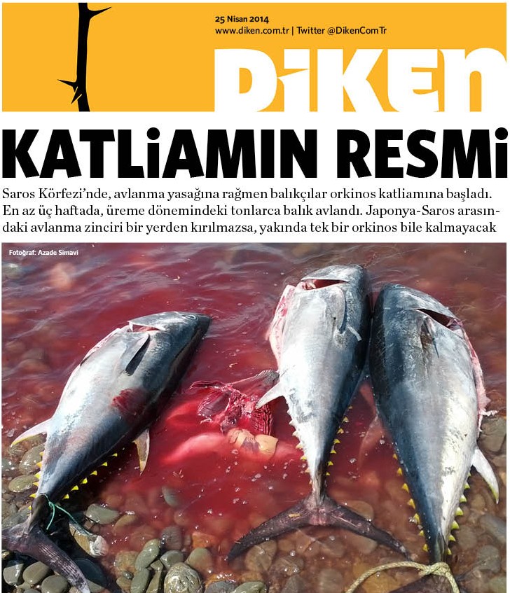 20140425 Diken
