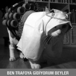 6343f30cfce6d3d50e07bb932ef5a8e00956d41a77d0764e03d91a7b5a41c864be5a3d6fc84bd7338461674ca615450