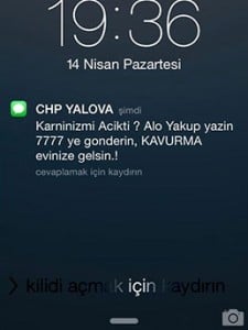 chp
