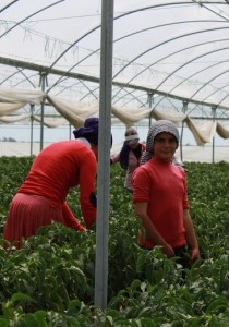 Fotoğraf: Seçil Türkkan/BirGün