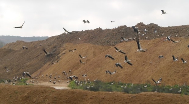 ucuncuhavasulak