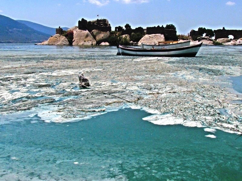 (Fotoğraf: DHA)