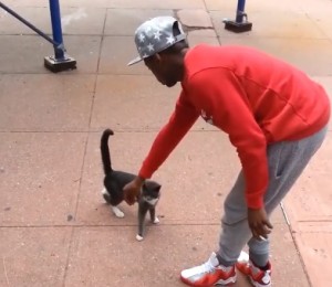 cat-kicker