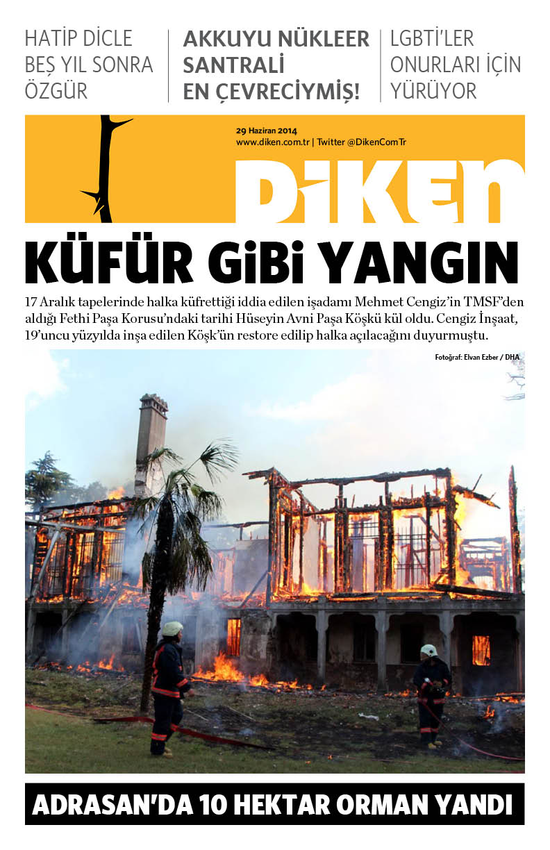 20140629 Diken