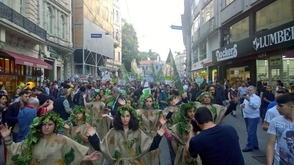 Fotoğraf: @kuzeyormanlari