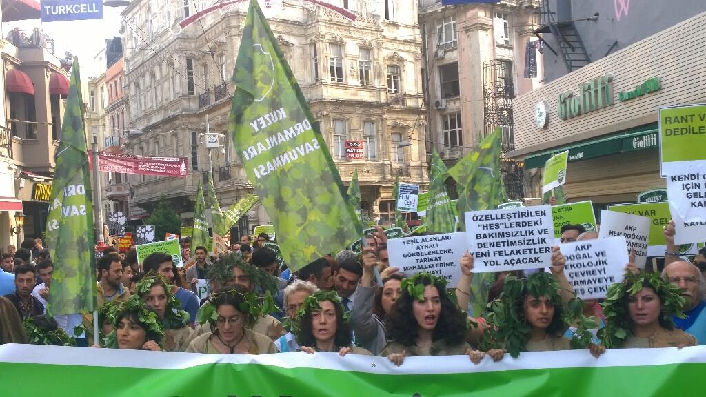 Fotoğraf: @kuzeyormanlari