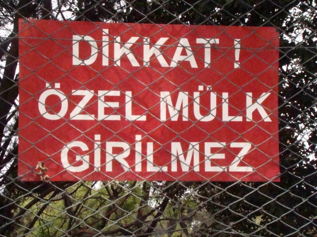 Fotoğraf: kuzeyormanlari.org