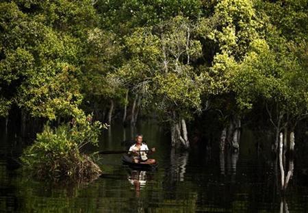 A fisherman rows his boat on a peatland river in Kerumutan protected forest near Teluk Meranti village in Pelalawan