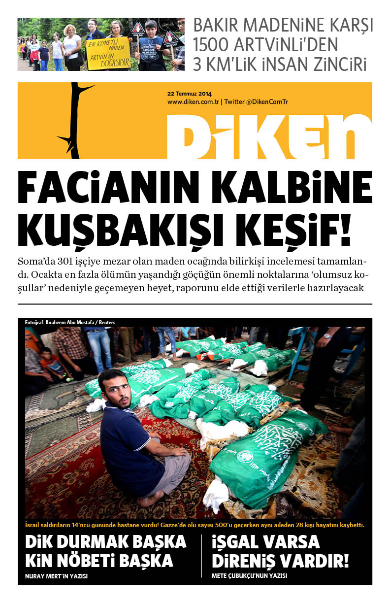 20140722 Diken