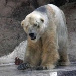arturo