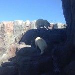 arturo1