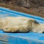 arturo3