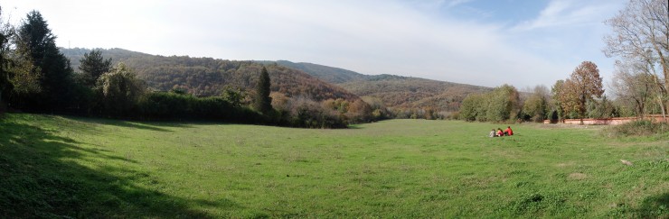 Stitched Panorama