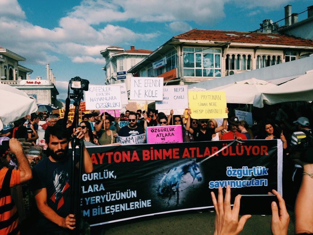 Fotoğraf: Cihan Demiral (Twitter: @cihan)