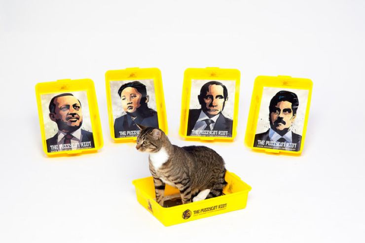 erdogan kedi2