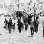ezidi sb