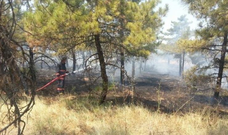 orman ciftligi yangin