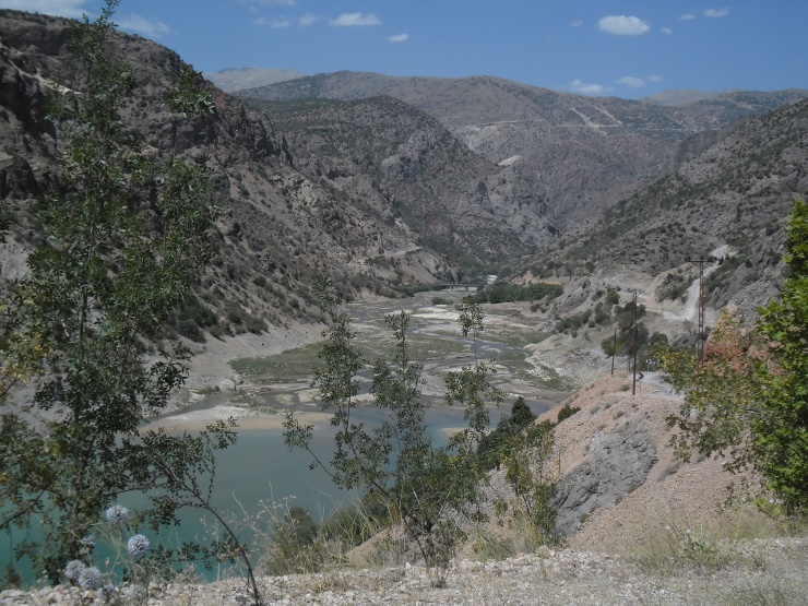 view