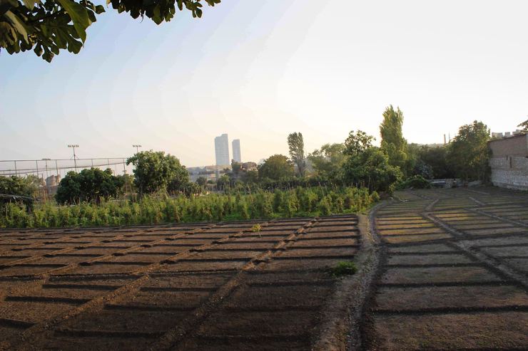 fotoğraf: yedikulebostani.tumblr.com