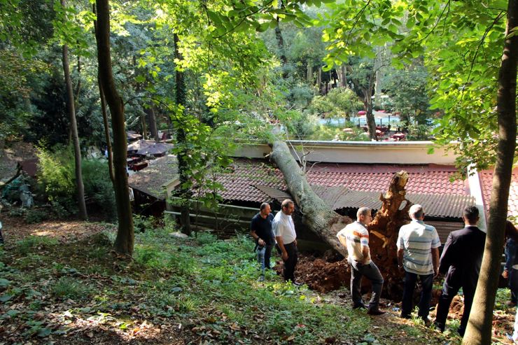 Fotoğraf: DHA