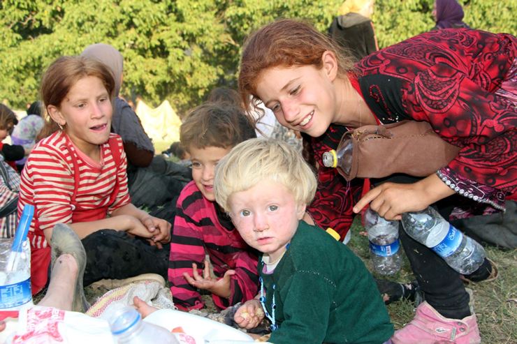 Fotoğraf: DHA