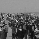 kobani sinir sb