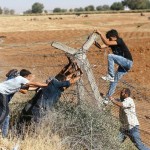 kobani-suruc sinir1