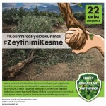 kolin yirca