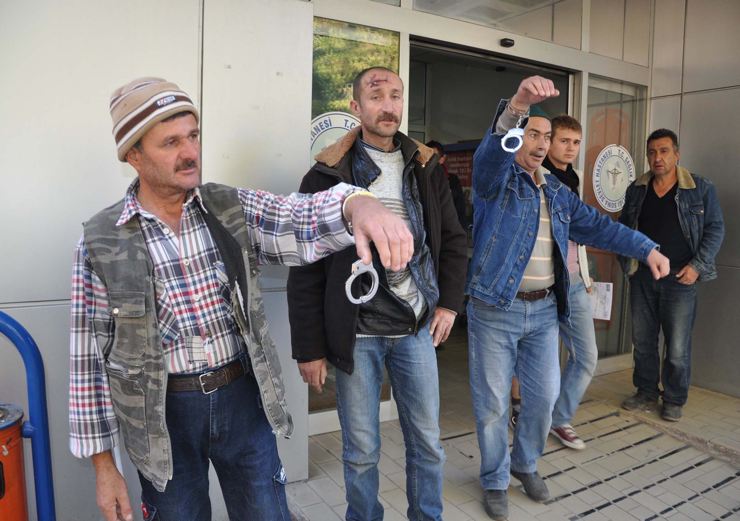 soma zeytinlik