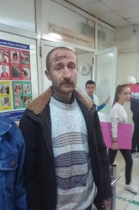 soma zeytinlik4