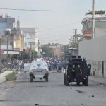 tarsus