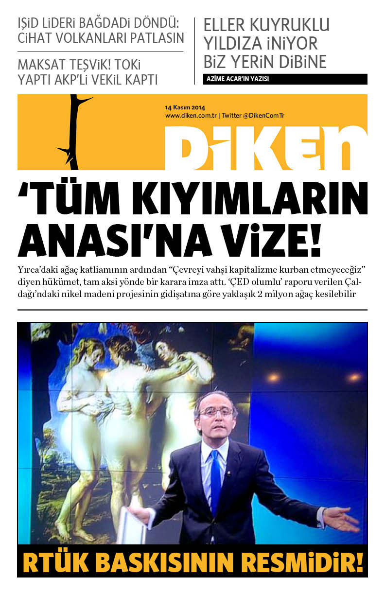 20141114 Diken