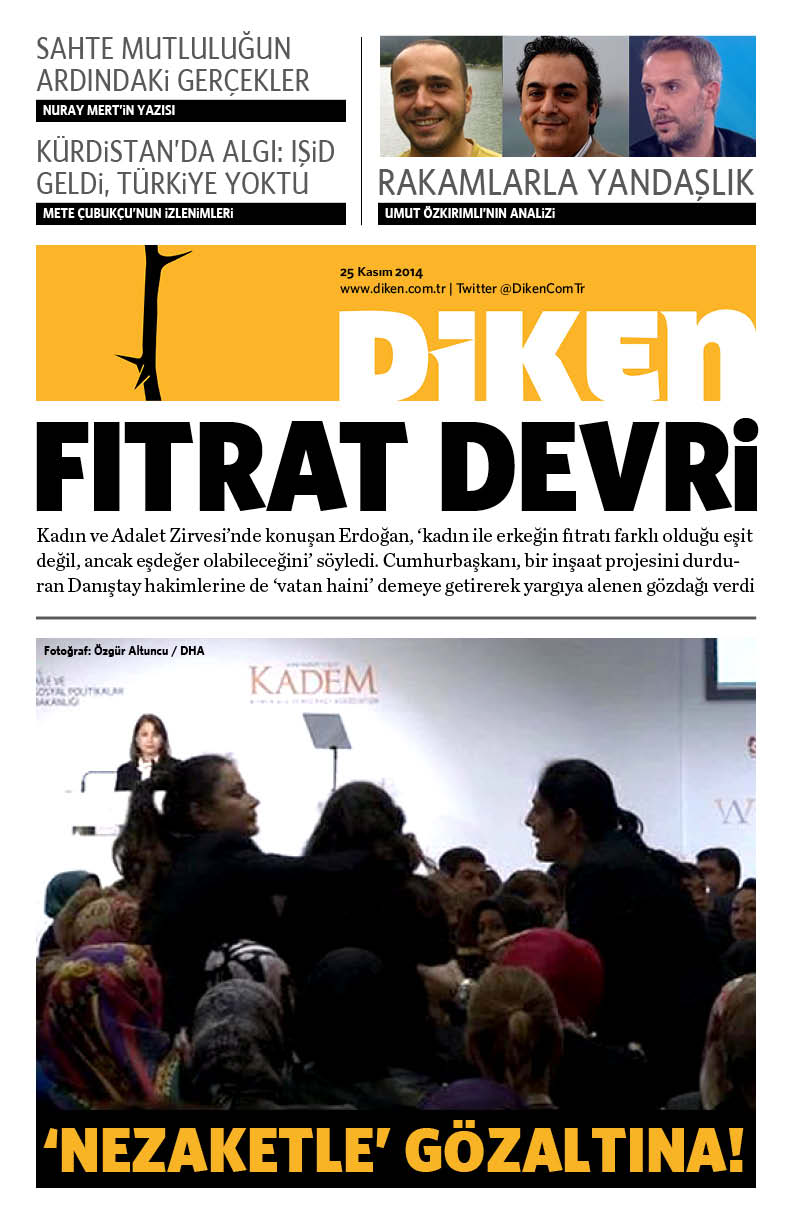 20141125 Diken