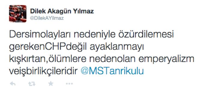 dilek akagun yilmaz