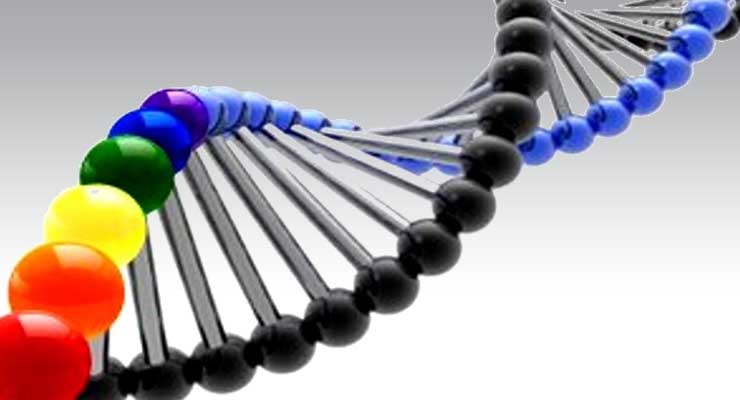 gay dna1